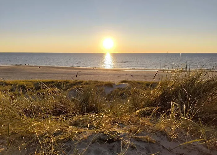 Dune Escape With Games And Wifi-by Traum
